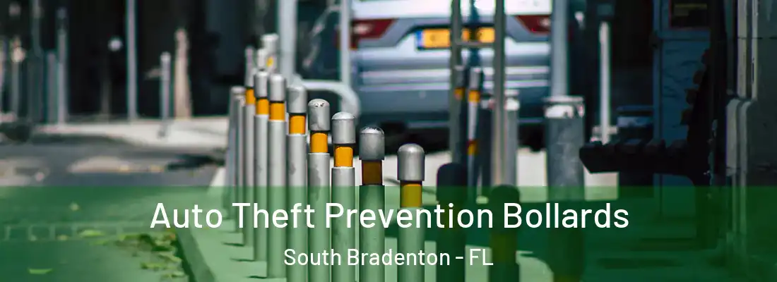 Auto Theft Prevention Bollards South Bradenton - FL