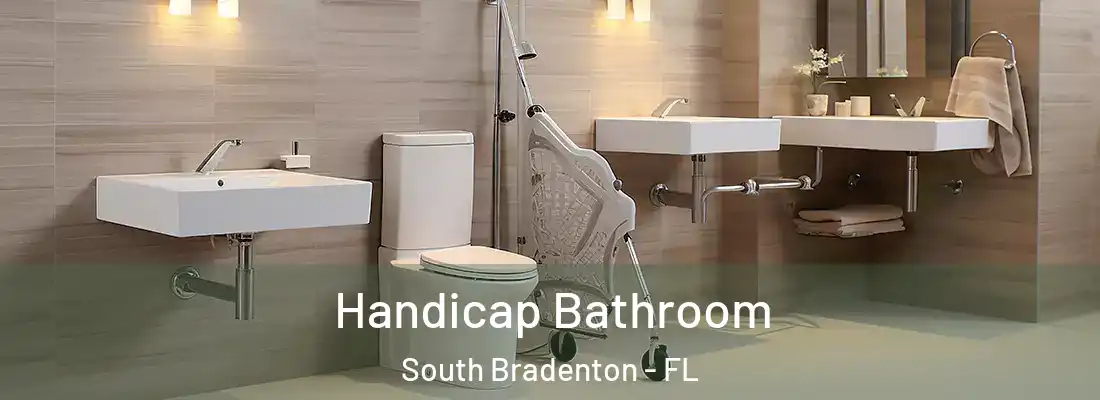 Handicap Bathroom South Bradenton - FL