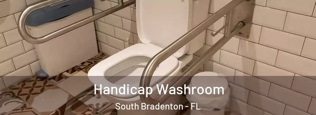 Handicap Washroom South Bradenton - FL